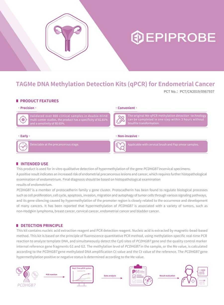 Methylation DNA Detection Kits